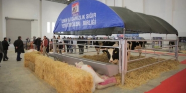 Zafer Ergin, Şevket Çoruh, Oya Okar, Arka Sokaklar, Arka Sokaklar yeni bölüm fragmanı, Arka Sokaklar son bölüm fragmanı, Arka Sokaklar ne zaman, Arka Sokaklar hangi gün, Arka Sokaklar hangi kanalda, Özgür Ozan, Alp Korkmaz, İlker İnanoğlu