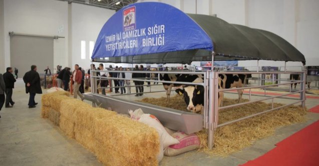 Zafer Ergin, Şevket Çoruh, Oya Okar, Arka Sokaklar, Arka Sokaklar yeni bölüm fragmanı, Arka Sokaklar son bölüm fragmanı, Arka Sokaklar ne zaman, Arka Sokaklar hangi gün, Arka Sokaklar hangi kanalda, Özgür Ozan, Alp Korkmaz, İlker İnanoğlu