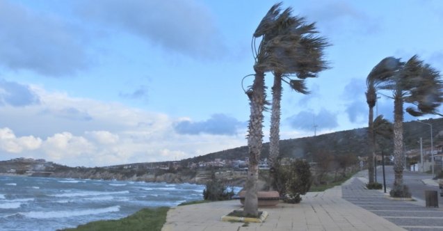 Survivor, Ersin Korkut