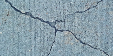 Acun Ilıcalı, Survivor, Barış Murat Yağcı, TV8, Yasin Obuz, Evrim Keklik, Ceyhun Uzun, Mert Öcal, Aycan Yanaç, Derya Can, Ersin Korkut, Parviz Abdullayev, Sercan Yıldırım, Tuğba Melis Türk, Elif Gören, Cemal Can Canseven, Erman Altıkardeş, İrem Akın