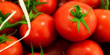 izmir, Buca, Urla, Cumhuriyet Halk Partisi, Urla Belediyesi, Burak Oğuz, Deniz Yücel