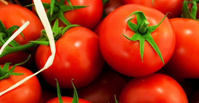 izmir, Buca, Urla, Cumhuriyet Halk Partisi, Urla Belediyesi, Burak Oğuz, Deniz Yücel