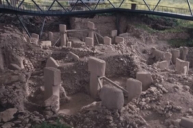 Survivor, Tayfun Erdoğan