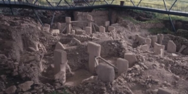 Survivor, Tayfun Erdoğan