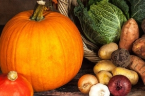 izmir, Selçuk, İzmir Adli Tıp Kurumu, Gökçealan Köyü