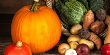 izmir, Selçuk, İzmir Adli Tıp Kurumu, Gökçealan Köyü