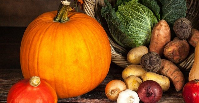 izmir, Selçuk, İzmir Adli Tıp Kurumu, Gökçealan Köyü