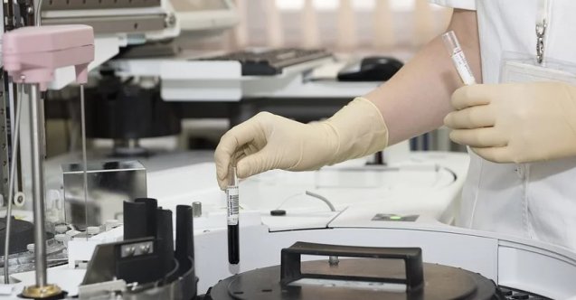 Toygan Avanoğlu, Aslıhan Güner, Kuzey Yıldızı, İsmail Demirci, Cezmi Baskın, Kuzey Yıldızı İlk Aşk, Kuzey Yıldızı İlk Aşk ne zaman, Kuzey Yıldızı İlk Aşk hangi gün, Kuzey Yıldızı İlk Aşk hangi kanalda, Kuzey Yıldızı ne zaman, Kuzey Yıldızı hangi gün, Kuzey Yıldızı hangi kanalda