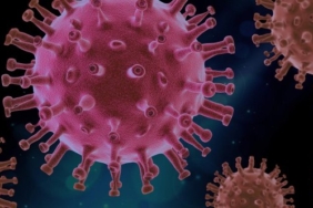 İzmir pandemi hastaneleri detayları belli oldu, Sağlık Bakanlığı’ndan pandemi hastaneleri açıklaması