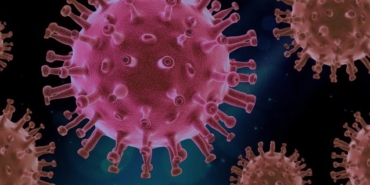 İzmir pandemi hastaneleri detayları belli oldu, Sağlık Bakanlığı’ndan pandemi hastaneleri açıklaması