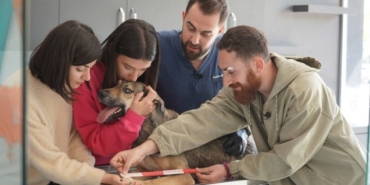 Acun Ilıcalı, Survivor, Evrim Keklik, Ersin Korkut, Survivor yeni bölüm fragmanı, Survivor son bölüm fragmanı, Berkan Karabulut