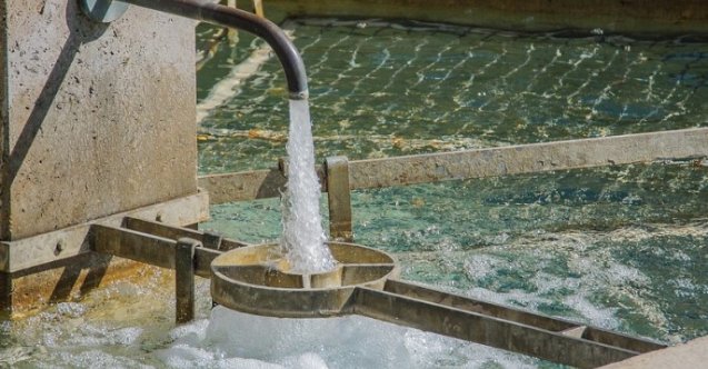 Bornova elektrik kesintisi, Torbalı elektrik kesintisi, Konak elektrik kesintisi, izmir elektrik kesintisi, Seferihisar elektrik kesintisi