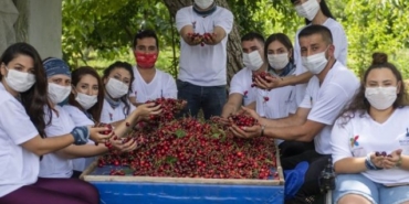 izmir, Bornova, Buca, Konak