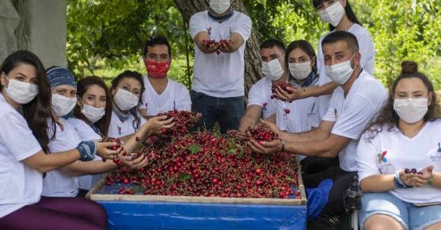 izmir, Bornova, Buca, Konak