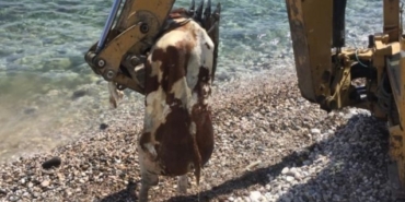 Star TV, Engin Akyürek, Sefirin Kızı, Neslihan Atagül Doğulu, Uraz Kaygılaroğlu, Sefirin Kızı ne zaman, Sefirin Kızı hangi gün, Sefirin Kızı hangi kanalda