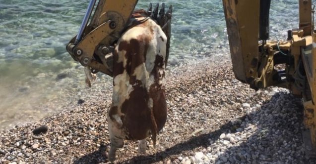 Star TV, Engin Akyürek, Sefirin Kızı, Neslihan Atagül Doğulu, Uraz Kaygılaroğlu, Sefirin Kızı ne zaman, Sefirin Kızı hangi gün, Sefirin Kızı hangi kanalda