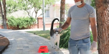 Kanal 7, masum yeni bölüm fragmanı, masum yeni bölüm özeti, masum son bölüm fragmanı