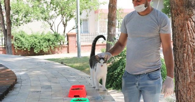 Kanal 7, masum yeni bölüm fragmanı, masum yeni bölüm özeti, masum son bölüm fragmanı