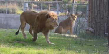 izmir, Çiğli, İzmir Doğal Yaşam Parkı