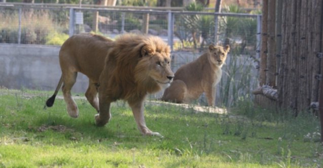 izmir, Çiğli, İzmir Doğal Yaşam Parkı