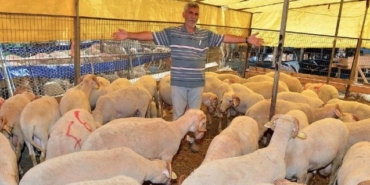 masum yeni bölüm özeti