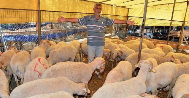 masum yeni bölüm özeti