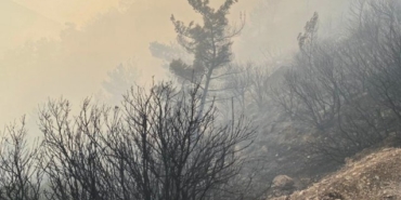 Balçova'daki yangın kontrol altına alındı