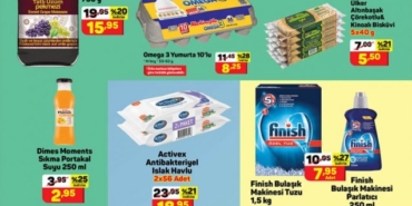 A101 indirim kataloğu, bu hafta Arzum Nuvo Saç Düzleştirici, Homend El Blender Seti