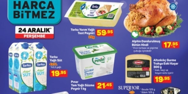 A101 aktüel indirimli ürünler kataloğu Arzum Mistost Tost Makinesi, Kiwi KVC El Süpürgesi