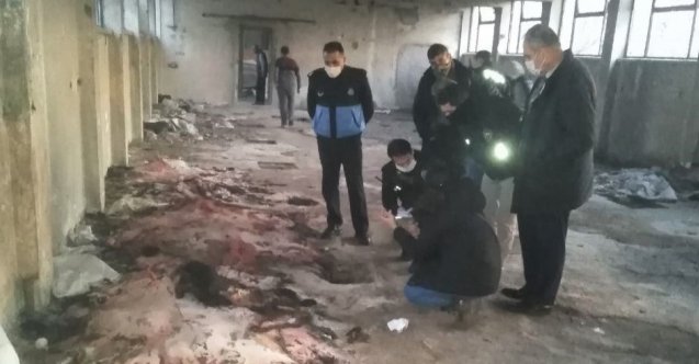 izmir, Foça, Foça Belediyesi, Son Dakika İzmir