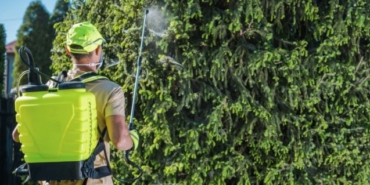 İzmir Dezenfeksiyon Firmaları