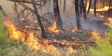 izmir, İzdeniz, İZELMAN, İzmir Büyükşehir Belediyesi personel alımı