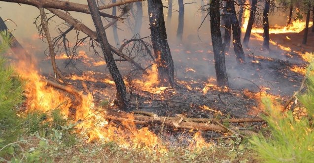 izmir, İzdeniz, İZELMAN, İzmir Büyükşehir Belediyesi personel alımı
