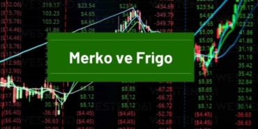 Merko ve Frigo