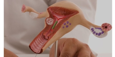 Doğru Jinekolog Seçimi Nasıl Olmalıdır?