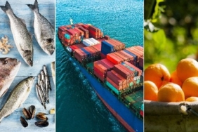 izmir, Ege İhracatçı Birlikleri, Ege Yaş Meyve Sebze İhracatçıları Birliği, Hayrettin Uçak