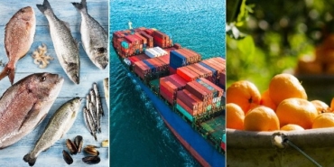 izmir, Ege İhracatçı Birlikleri, Ege Yaş Meyve Sebze İhracatçıları Birliği, Hayrettin Uçak