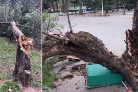 izmir, Dikili, İzmir Büyükşehir Belediyesi, Tunç Soyer, Son Dakika İzmir, son dakika izmir haberleri, izmir dikili haberleri, son dakika dikili haberleri