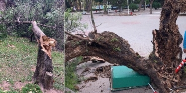 izmir, Dikili, İzmir Büyükşehir Belediyesi, Tunç Soyer, Son Dakika İzmir, son dakika izmir haberleri, izmir dikili haberleri, son dakika dikili haberleri