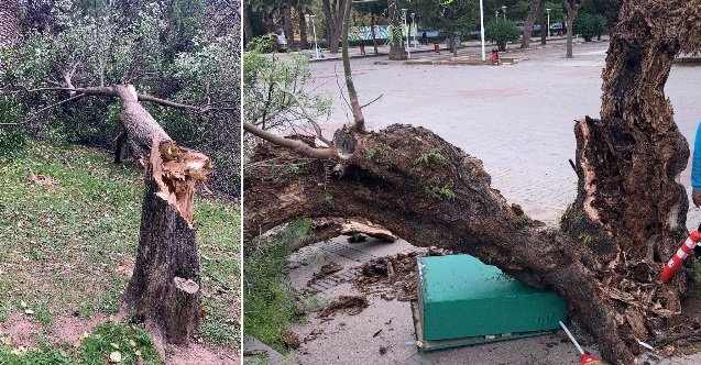 izmir, Dikili, İzmir Büyükşehir Belediyesi, Tunç Soyer, Son Dakika İzmir, son dakika izmir haberleri, izmir dikili haberleri, son dakika dikili haberleri