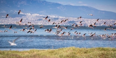 izmir, İzmir Büyükşehir Belediyesi, Tunç Soyer, Ahmed Adnan Saygun Sanat Merkezi, İzmir Sanat, Son Dakika İzmir, son dakika izmir haberleri