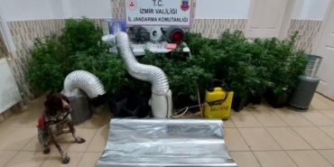 İzmir’de jandarmadan uyuşturucu ve sahte içki operasyonu