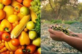 muğla, son dakika muğla haberleri