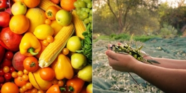 muğla, son dakika muğla haberleri