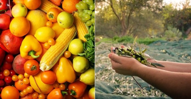 muğla, son dakika muğla haberleri