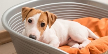 Karşıyaka, izmir, İzmir Büyükşehir Belediyesi, Tunç Soyer, Bostanlı, Son Dakika İzmir, son dakika izmir haberleri, izmir karşıyaka haberleri, son dakika karşıyaka haberleri