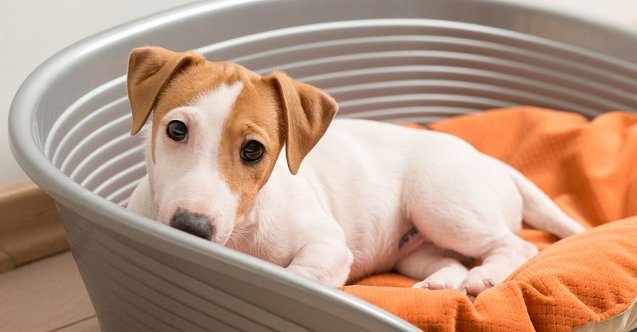 Karşıyaka, izmir, İzmir Büyükşehir Belediyesi, Tunç Soyer, Bostanlı, Son Dakika İzmir, son dakika izmir haberleri, izmir karşıyaka haberleri, son dakika karşıyaka haberleri