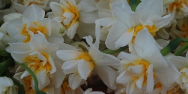 izmir, Aliağa, Şakran Mahallesi, Son Dakika İzmir, son dakika izmir haberleri, izmir aliağa haberleri, son dakika aliağa haberleri, Aliağa Şakran Mahallesi