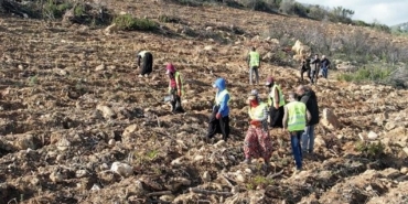İzmir Menderes Çile ve Urla Balıklıova orman yangını için ağaçlandırma çalışmaları