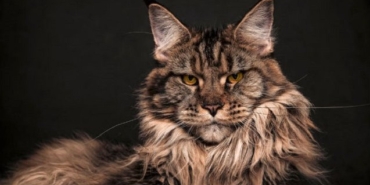 izmir, Çiğli, son dakika izmir haberleri, izmir çiğli haberleri, son dakika çiğli haberleri